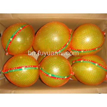 গরম বিক্রয় সুস্বাদু তাজা pomelo